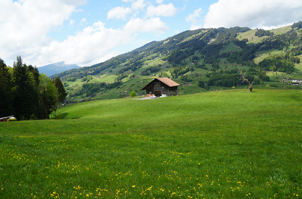 Feldbachern 1.png