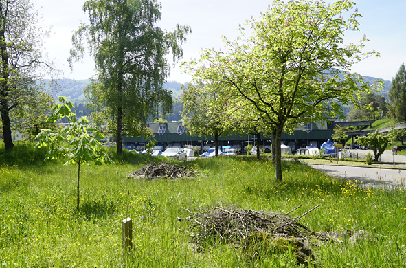 Grafiken_Spielplatz Hafenweg3.png