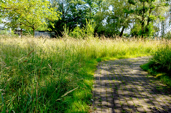 Grafiken_Spielplatz Hafenweg6.png