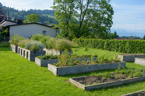 Grafiken_Lerngarten Wernetshausen.png