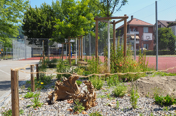 Grafiken_Erdnistende Wildbienen5.png