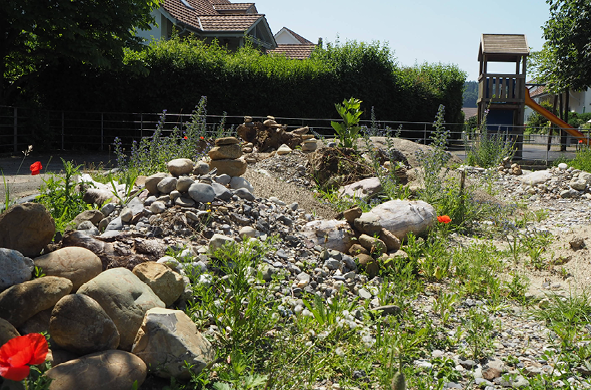 Grafiken_Erdnistende Wildbienen6.png