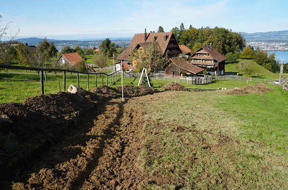 Grafiken_Silberbach3.png