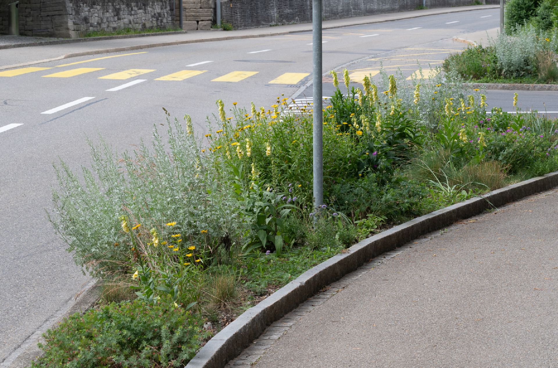 Grafiken_Inventar Verkehrsrandflächen2.png