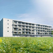 Neubau Personalhaus Gebrüder Meier Gemüsekulturen AG, Buchs-Dällikon