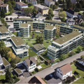 Grossprojekt „Wohnpark Steindler“ Wohlen AG